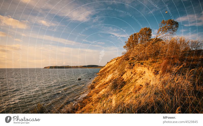 ruegen kleiner zicker Rügen coast steep coast slanting Ocean erosion Waves Horizon Landscape Deserted Baltic Sea Nature Island Vacation & Travel