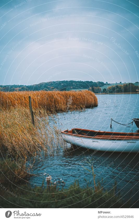 Boat in reed fishing boat Lake Lakeside Autumn Water Calm Idyll Relaxation Fishing (Angle) Landscape Nature