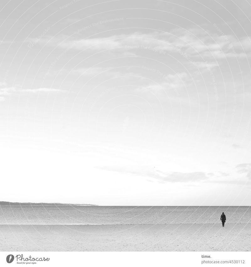 wanderlust Human being Ocean Baltic Sea Water Beach Horizon Sky Contrast Clouds on one's own Lonely wide Far-off places Room Environment Landscape lowland coast