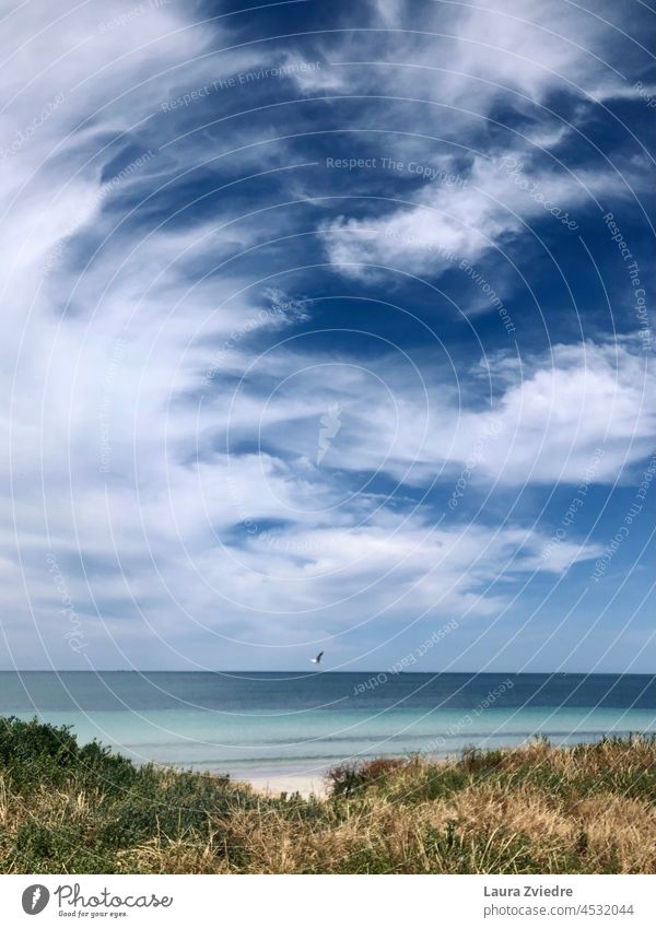 Freedom and the Indian Ocean Bird Dunes vacation Vacation mood Vacation destination Vacation & Travel Nature Beach Summer getaway Relaxation clouds sky