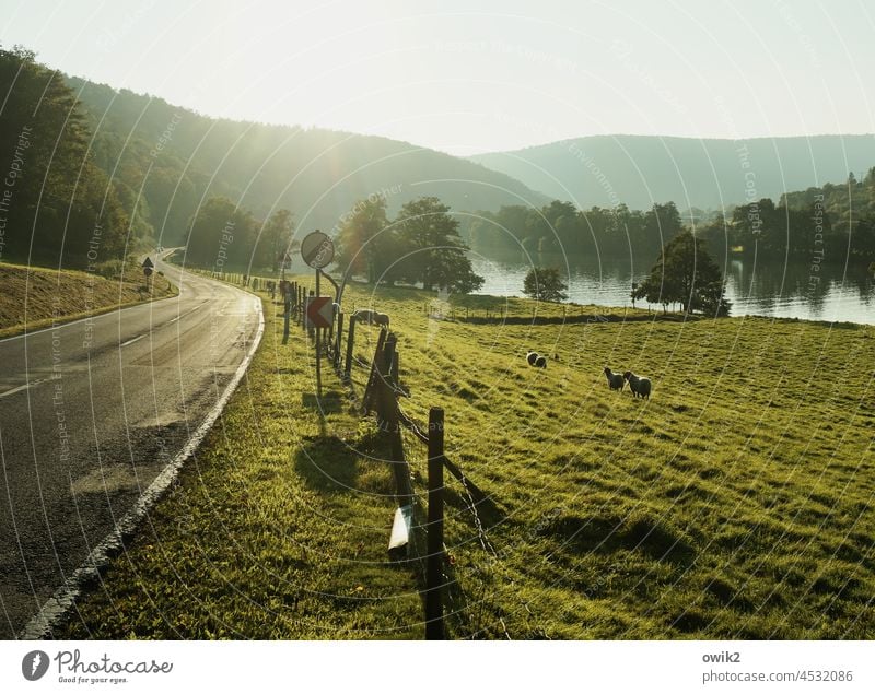 On the Main mainfranken Lower Franconia River Vantage point farsightedness Idyll wide mountains Horizon Sunlight Riverbed Exterior shot Colour photo Main quad