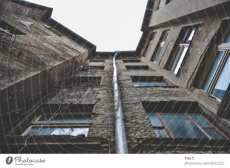 View upwards in the backyard Berlin Backyard Colour photo Autumn Interior courtyard Autumnal Old building unrefurbished House (Residential Structure) Facade