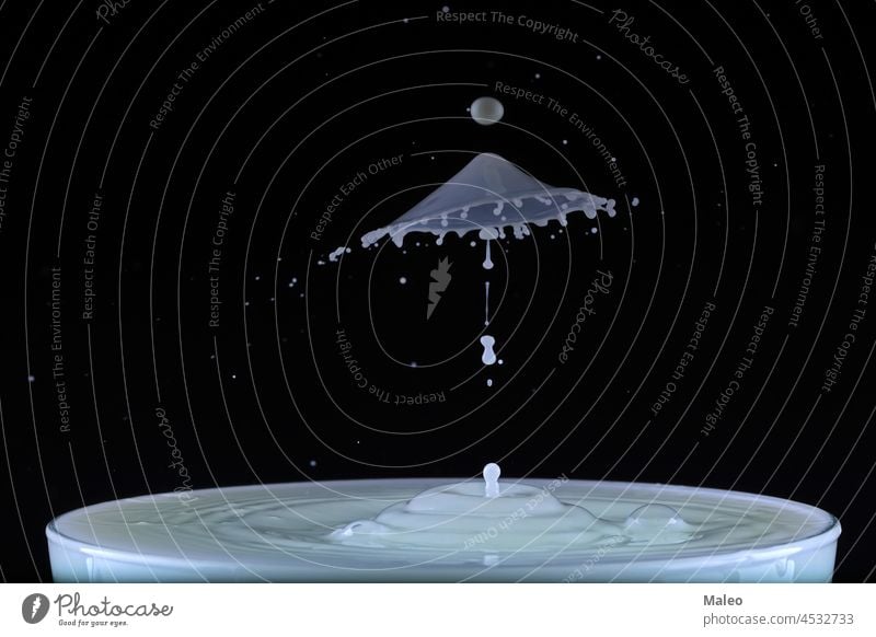 Drop of milk falling into the cup splash drop drink background white motion fresh abstract flowing cream isolated liquid splashing wave closeup pour dairy