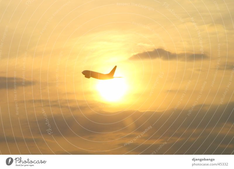 Flyer greets&#8217; me the sun Airplane Clouds Back-light Sunset Sky Beginning