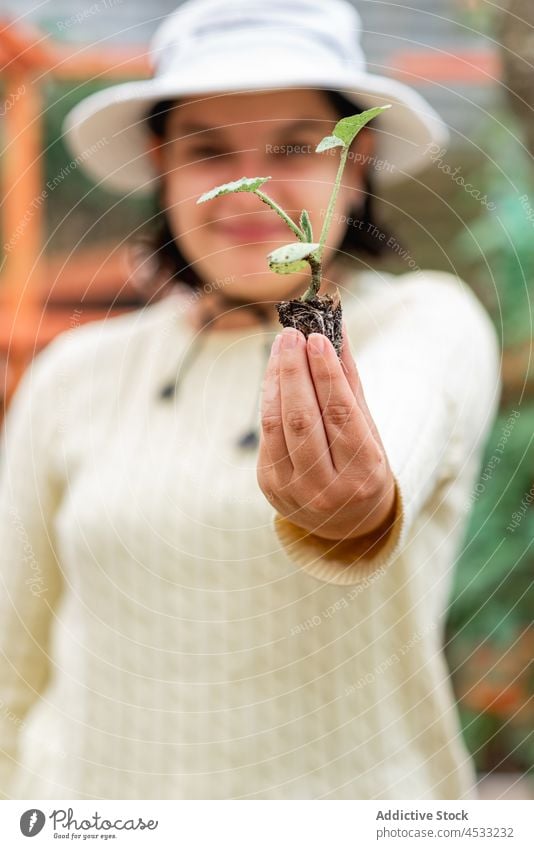 Smiling woman showing sprout in garden gardener seeding stem plant agriculture cultivate positive female farm botany grow smile work countryside farmer growth