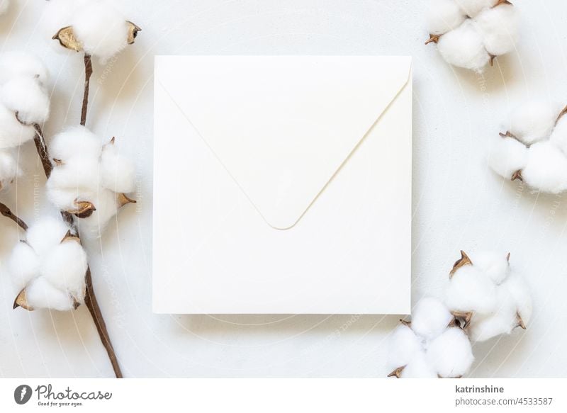 Blank white envelope on white table with cotton flowers top view Wedding mockup invitation Christmas branch Minimalistic monochrome blank vintage twig romantic