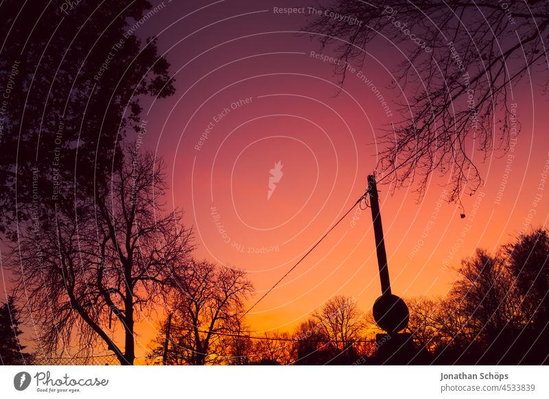 Evening sky in late autumn evening sky trees Silhouette Violet Gaudy colored variegated Red Orange purple Color gradient Twilight Forest Pole Sky Sunset Nature