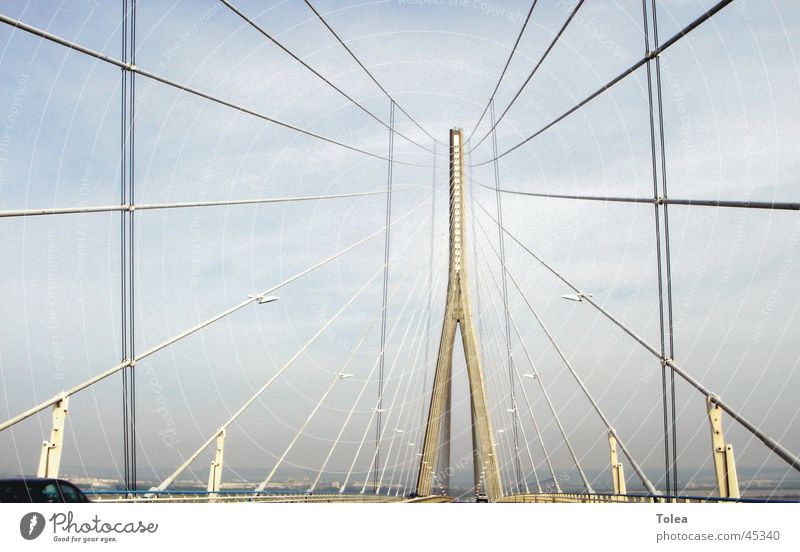 Pont de Normandie Checkmark Suspension bridge Bridge Graffiti Gate