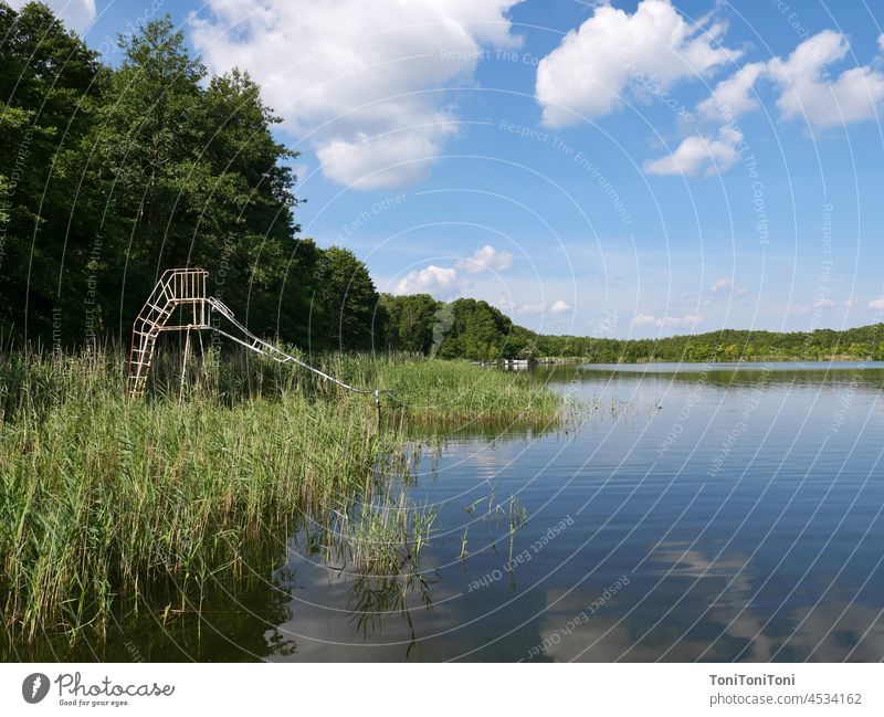 Old slide in lake with reeds Slide Lake Lakeside Water slide Surface of water