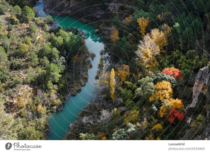 Colorful display of trees during autumn season in Spain beautiful colorful fall forest landscape leaf natural nature orange red spain yellow river Autumnal