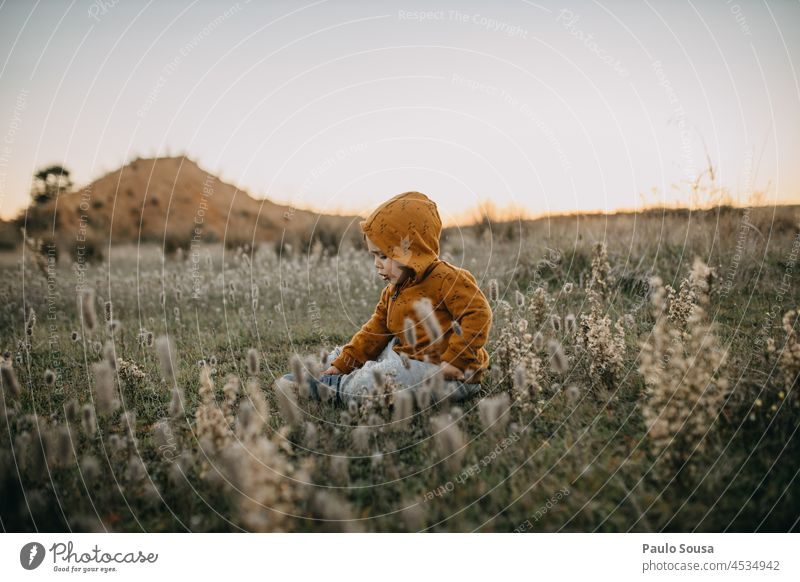 Child sitting on the fields childhood 1 - 3 years Caucasian Authentic Autumn Hooded (clothing) hoodie Orange Childhood memory Nature Life Multicoloured