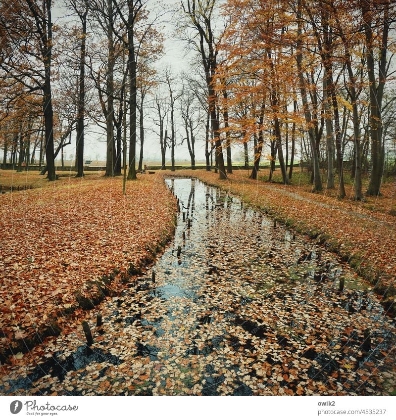 Channel 4 Waterway Body of water fluid Colour photo Landscape Exterior shot Nature Reflection River Day Deserted Central perspective Panorama (View) trees