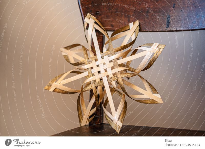 Poinsettia on a wooden chair. Christmas decoration. Christmas Star Wood Stars Christmas & Advent Gold golden Decent Beige cream