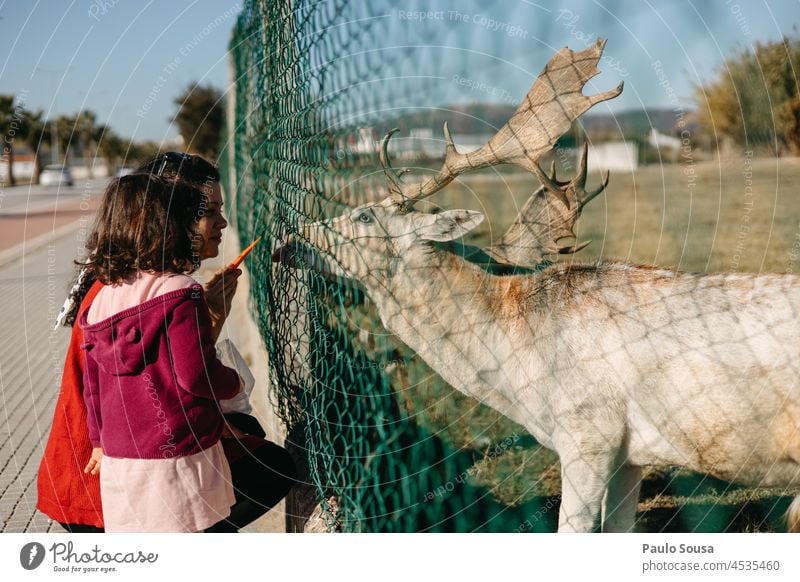 Mother with child feeding deer motherhood Child childhood 1 - 3 years 3 - 8 years Caucasian two people Authentic Feeding Love of animals Deer Together