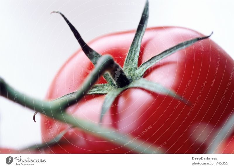 tomato Red Healthy Tomato Close-up Detail Macro (Extreme close-up) Nutrition