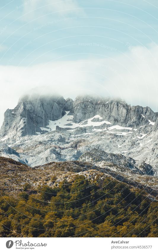 Colorful landscape of the mountains of Asturias during a sunny day, Covadonga lakes, peaceful scenario, snowy mountains, copy space peak meadow scenery lagoon