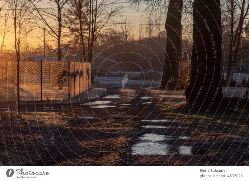 Metal wire fence for village house in Latvia landscape, silhouette of big tree in golden sunrise light. Ground covered with frost in cold November morning