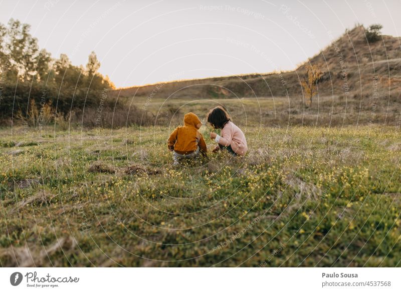 Brother and sister picking wilflowers Brothers and sisters Family & Relations two two people 1 - 3 years 3 - 8 years Caucasian Child childhood Cute Together