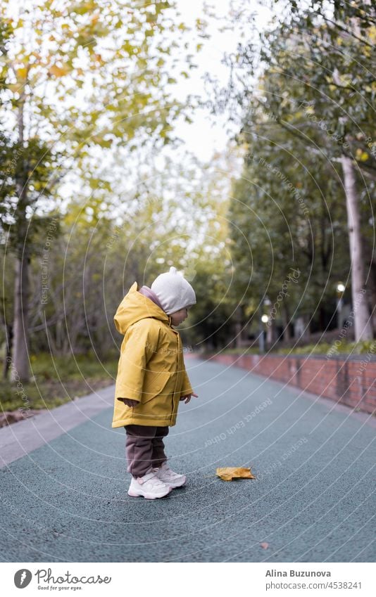 Cute caucasian baby girl one year old walking in autumn outdoor. Happy healthy child with smiley face enjoying life and autumn season on sunset Child Leaf