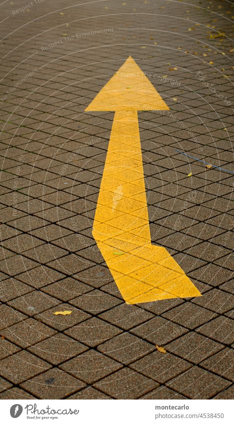 groundbreaking Sign Street Signs and labeling Signage Road traffic StreetPath Symbols and metaphors Road sign Arrow Contrast Characters Clue Yellow Direction