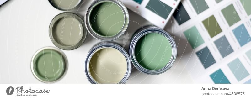 Choosing wall paints can brush pots sample choosing renovation sample pots color green moss basil pastel plastered liquid tin bucket home house decoration sage