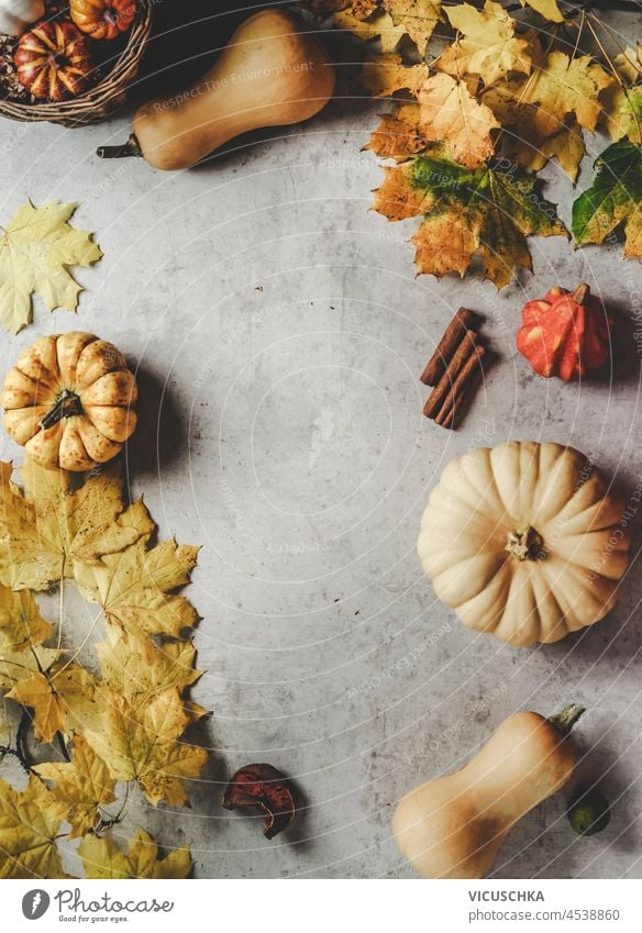 Autumn background frame with various pumpkins and yellow autumn leaves, cinnamon and candles on grey table. seasonal fall banner border copy space top view