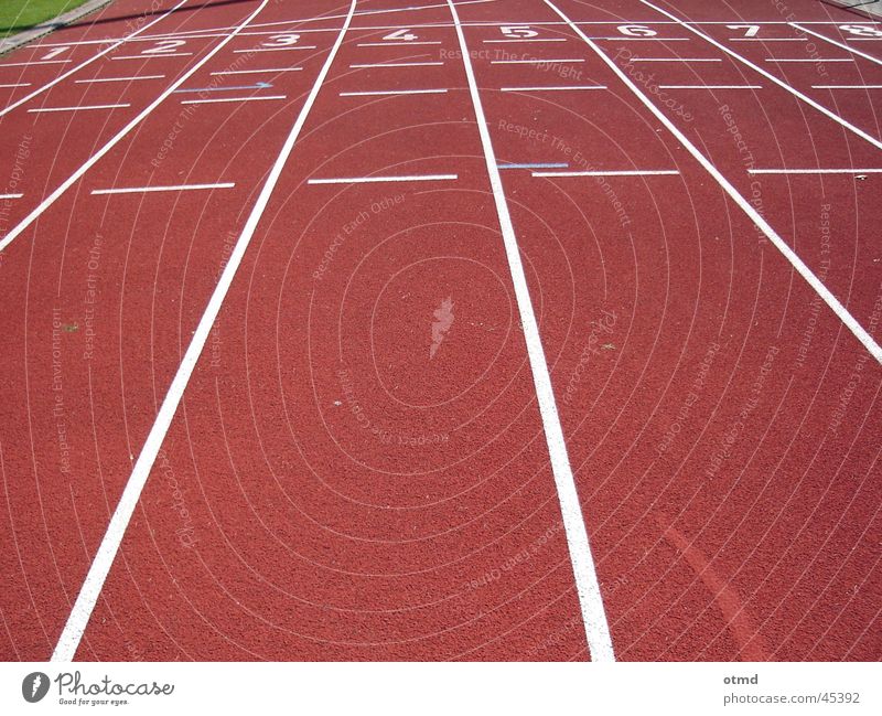 run for gold Stadium Running track Red Sports Walking Beginning Target Railroad Digits and numbers Exterior shot