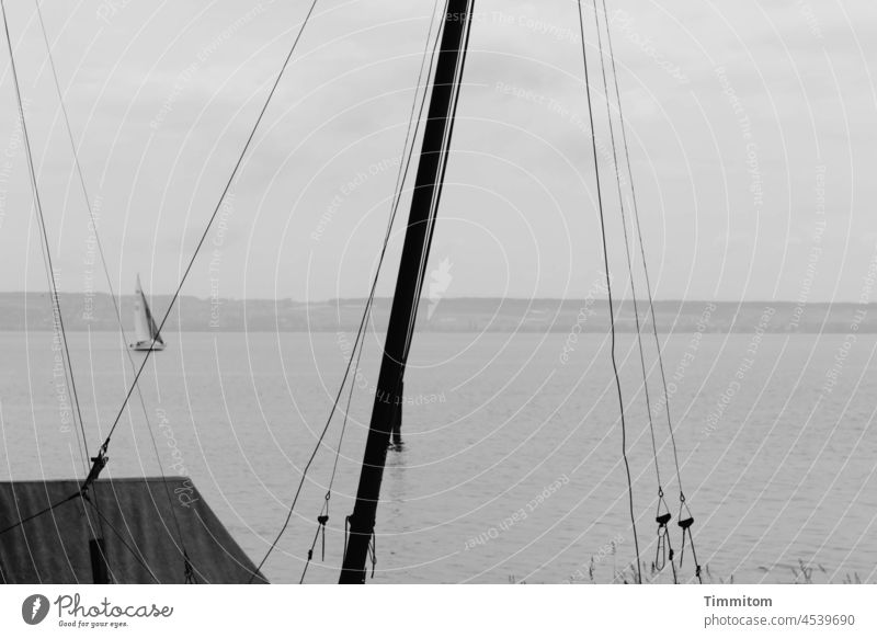 Some lines in the foreground and as a garnish a small sailboat Sailboat Linen Pole Lake Constance bank Sky Clouds Exterior shot Water Navigation