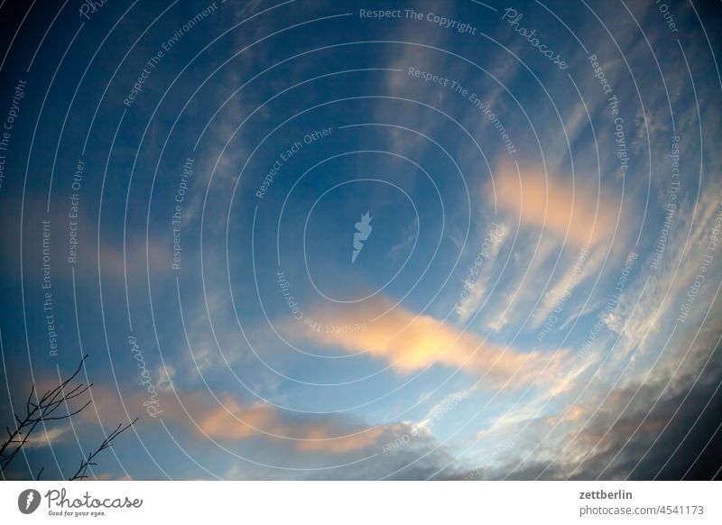 Evening sky in autumn altocumulus Dark Twilight somber colour spectrum Closing time Worm's-eye view Thunder and lightning cumulus cloud Sky background Climate