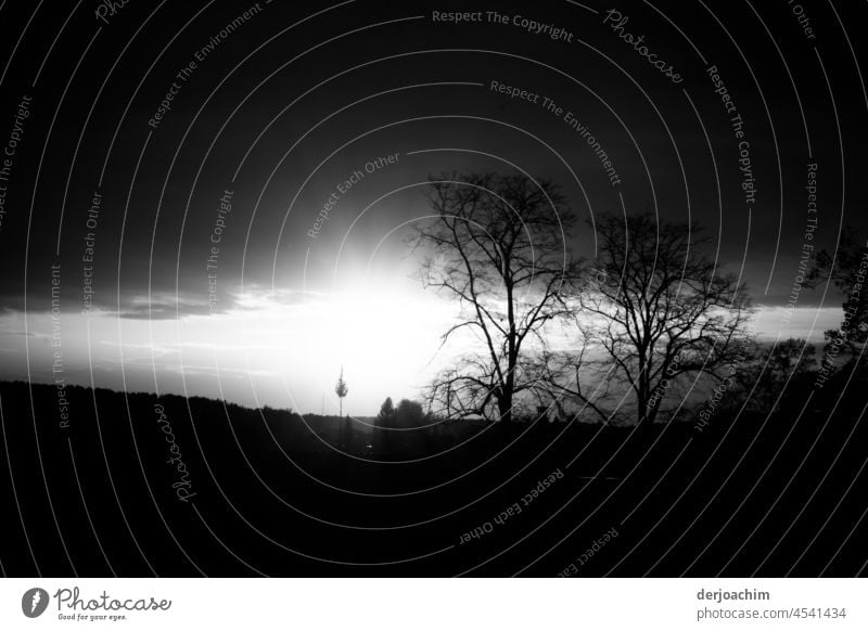 A bright light in the evening. Sunset Nature Sky Dusk Landscape Sunlight Monochrome Exterior shot Environment Silhouette Beautiful weather Back-light Evening