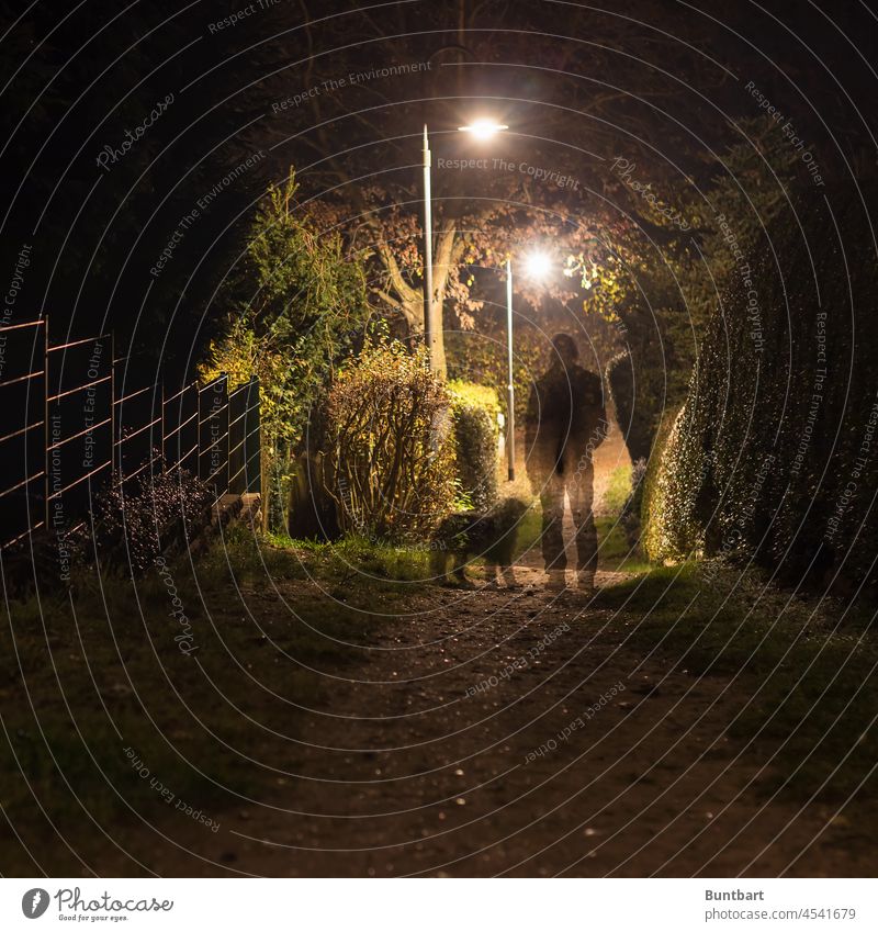 shadow walker Man Dog Pet Exterior shot Love of animals Animal off Lantern duster somber gloomy atmosphere darkness Dark Fence Hedge Sandy path Dog walk