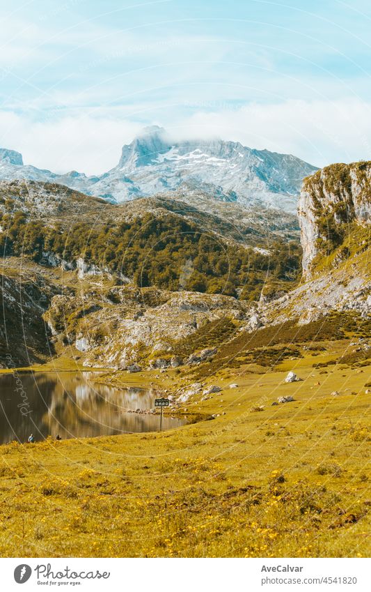 Colorful landscape of the mountains of Asturias during a sunny day, Covadonga lakes, peaceful scenario, snowy mountains, copy space peak meadow scenery lagoon