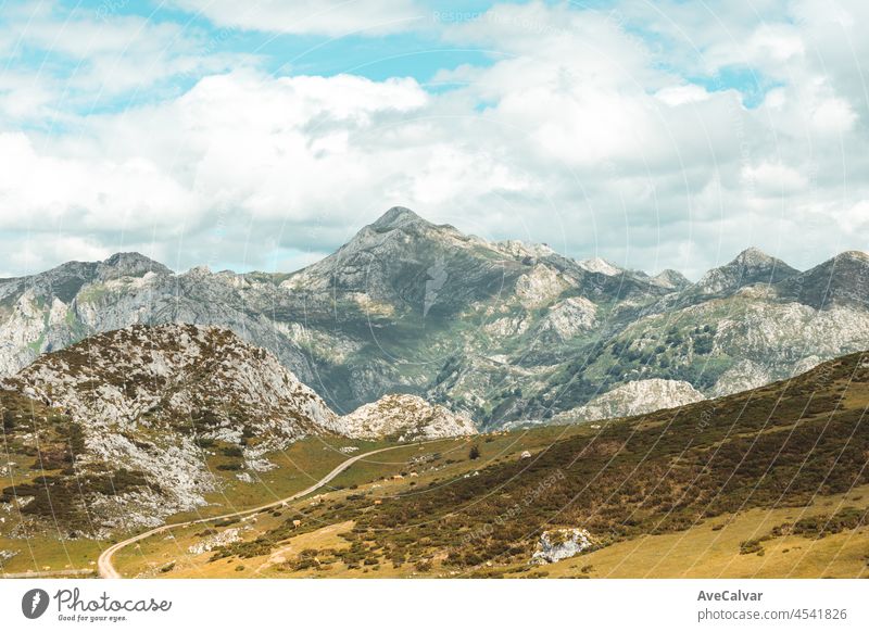 Colorful landscape of the mountains of Asturias during a sunny day, Covadonga lakes, peaceful scenario, snowy mountains, copy space peak meadow scenery lagoon