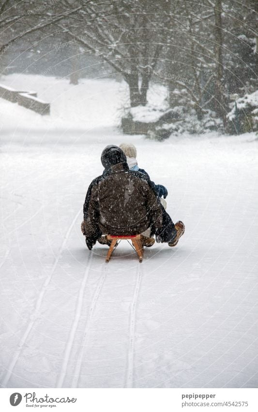 Sledging in the snow Sledge track Sleigh sled tracks tracks in the snow Snow Snowfall Snow layer Snowscape Winter mood Cold Winter's day Nature White Frost