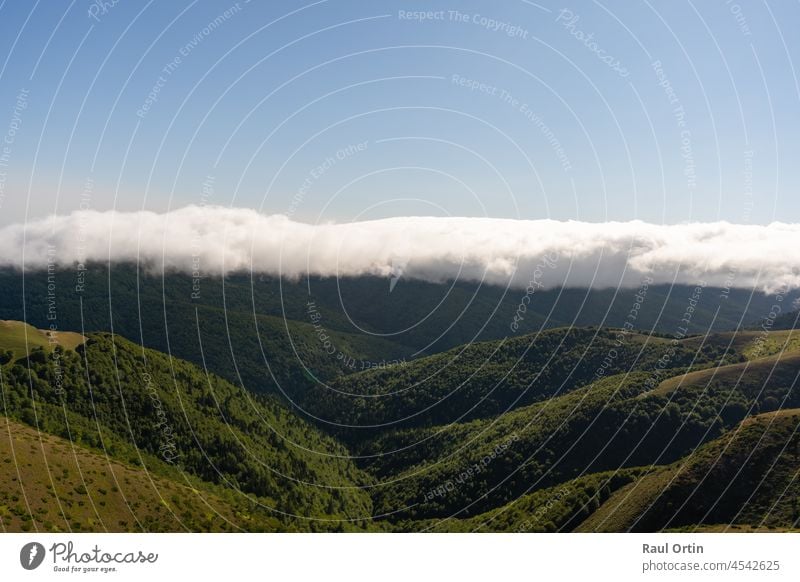 Wonderful forest mountains with sea clouds landscape trees blue sky travel weather nature jungle summer sun clear sunset pyrenees spain france background