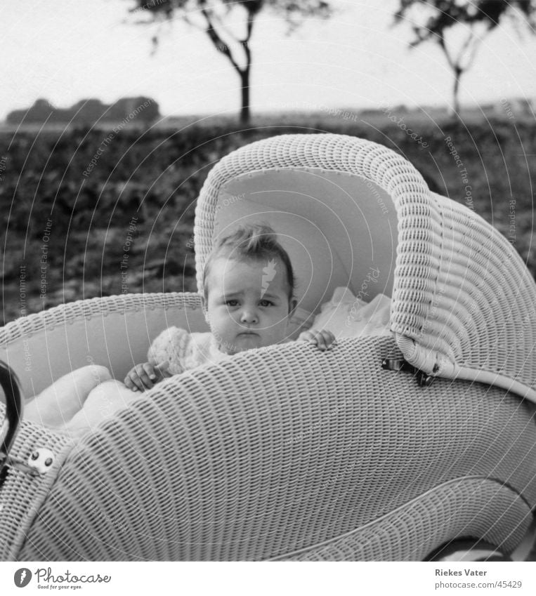 in pram Baby carriage Child Girl Tree Field Hand Hair and hairstyles Cockscomb Degersen Toddler Transport basketwork 1955