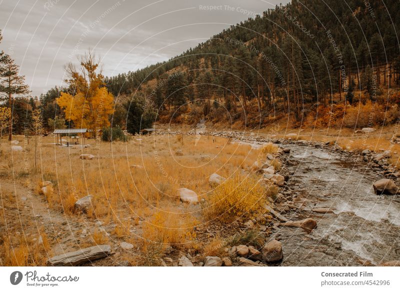 Landscape photo of river and fall foliage in the mountains Aspens Colorado Travel Adventure Fall Autumn leaves Autumnal colours autumn mood Seasons Nature