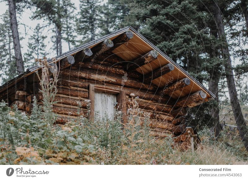 Abandoned wooden cottage in the woods Mountains Montana Colorado West Out west Wooden wooden house wooden home vintage antiques USA Adventure Ghost town