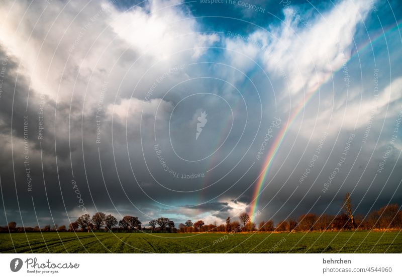 beginning and end | when bad weather conjures up beautiful weather Weather Force of nature Seasons Sun autumn walk Autumnal Climate change Storm Dramatic Wind