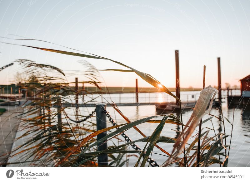 Sunrise spear mill Ruthenstrom River Water Footbridge Exterior shot reed harbour edge Deserted Calm Relaxation Maritime Beautiful weather