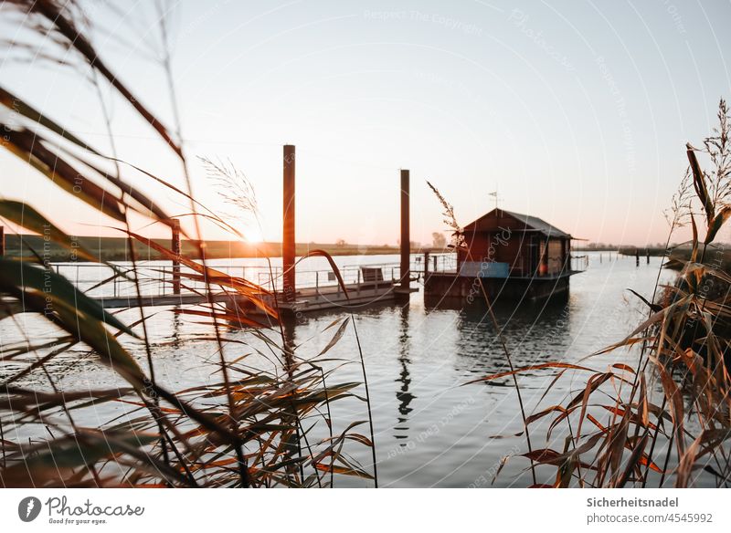 sunrise Sunrise Harbour Footbridge River Water House Exterior shot reed Jetty Maritime Calm