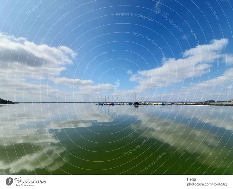 Sailboats in a small harbour at the lake Lake Dümmer See Water Sky reflection sailboats Harbour Clouds late summer silent tranquillity Beautiful weather