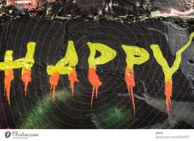 Quite happy... fortunate Happy Joy Joie de vivre (Vitality) Contentment Emotions Moody Happiness Optimism Positive Enthusiasm street art Word English