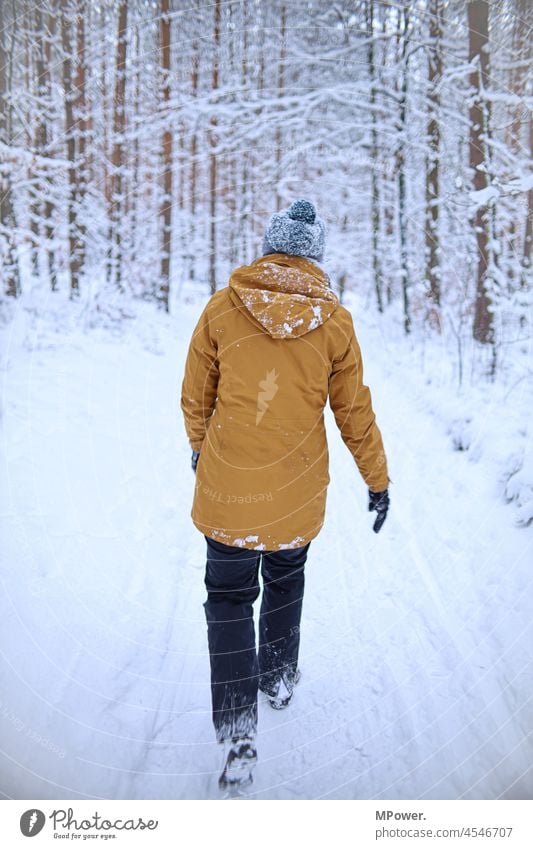 In the snow Hiking Winter Snow Forest Nature Weather Ice Winter vacation Snowscape Human being from behind Rear view Walking To go for a walk Winter mood