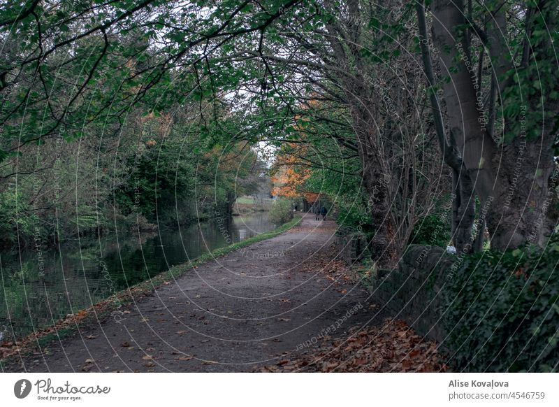 a walk in a park by a river path landscape trees Bushes nature pavement Nature water people walking fallen leaves leaf autumn