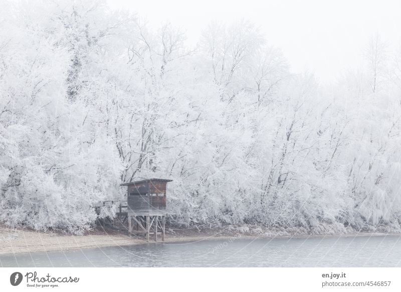 Lake shore in winter with hunter's hut Winter Cold Frost Ice chill Forest bank Lakeside Hunting stand Jägerhochsitz Hut trees Snow Frozen White