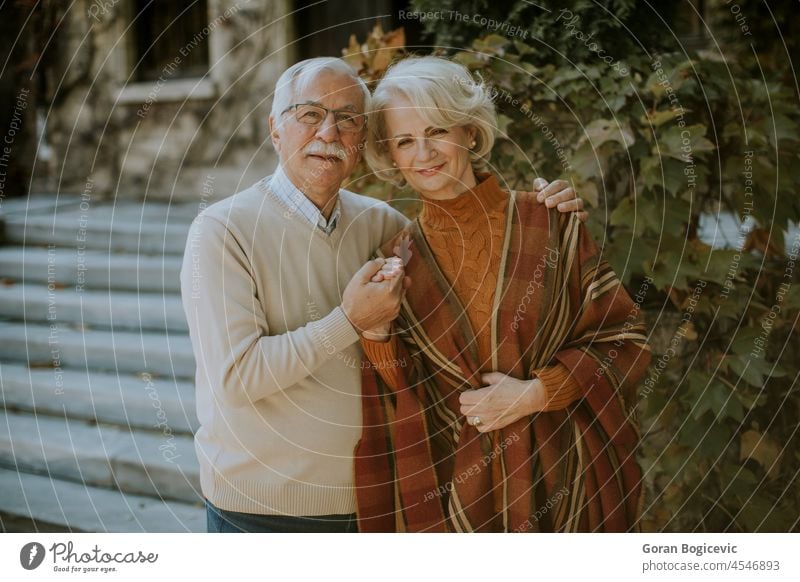 Senior couple embracing in autumn park aged aging beautiful casual cheerful elder elderly enjoyment grandfather grandmother gray happiness happy heterosexual