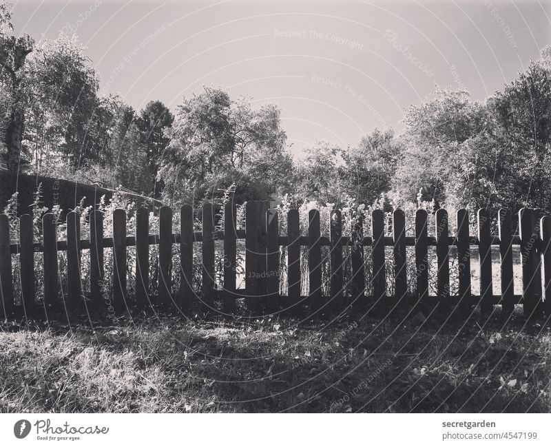 [PARKTOUR HH 2021] Overcoming borders Fence Border overcome Black & white photo sunny Garden Garden plot Nature Garden fence Fence post Gardening Garden plants