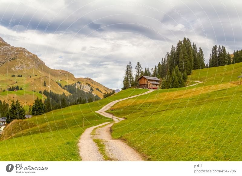 Scenery around river Lech vorarlberg austria alps alpine hill meadow pasture landscape lech tree mountain peaceful idyllic hut shed shack grass fieldpath