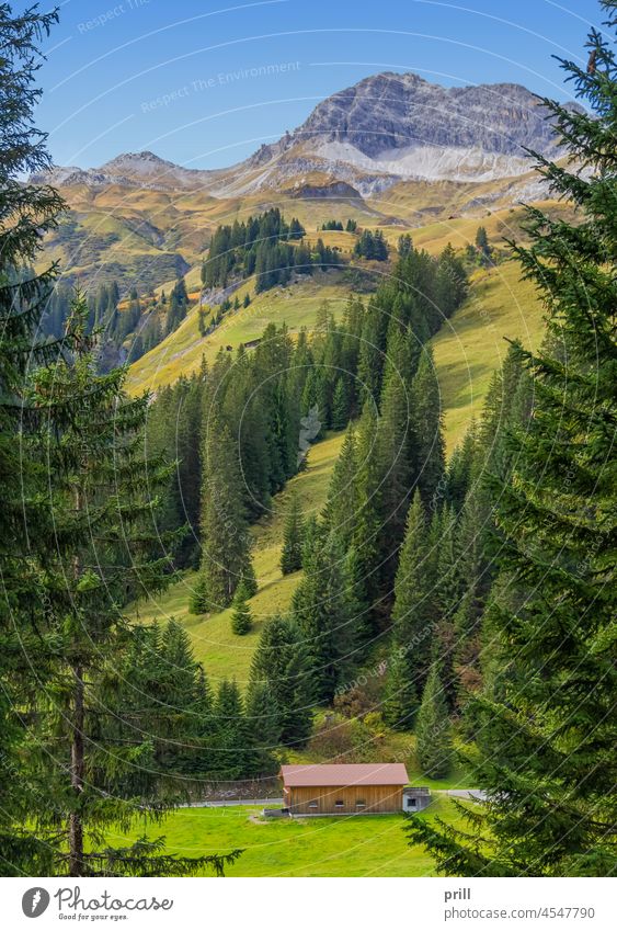 Scenery around river Lech vorarlberg austria alps alpine hill meadow pasture landscape sunny lech tree mountain peaceful idyllic hut shed rocky kigh angle slope